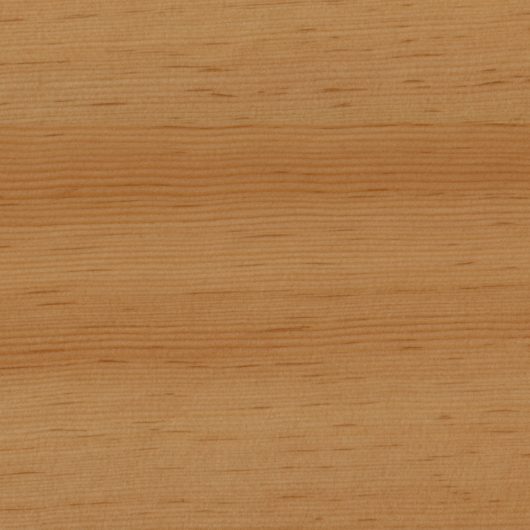 wood 101v2