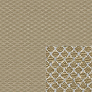 Diffuse (bronco)