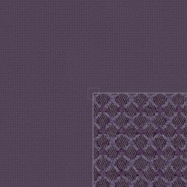 Diffuse (tolopea)