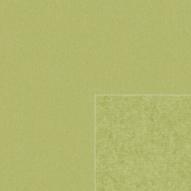 Diffuse (kiwi)