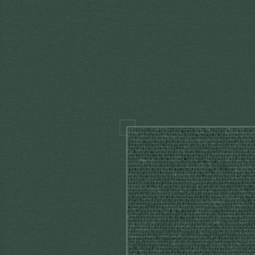 Diffuse (forest)