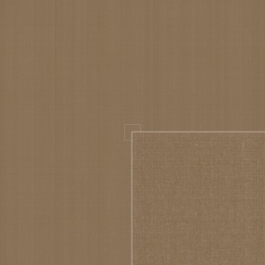 Diffuse (caribou)