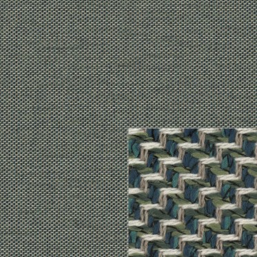 Diffuse (black forest)