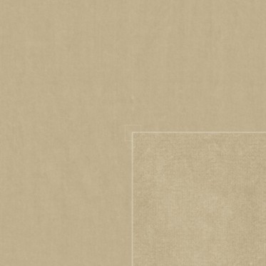 Diffuse (camel)