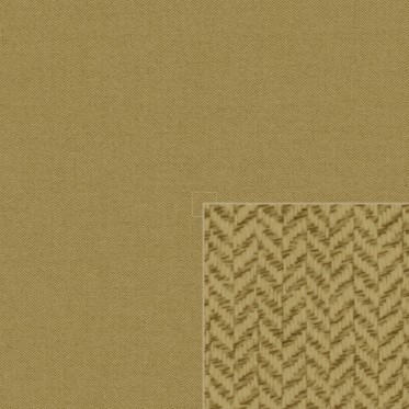 Diffuse (barley)