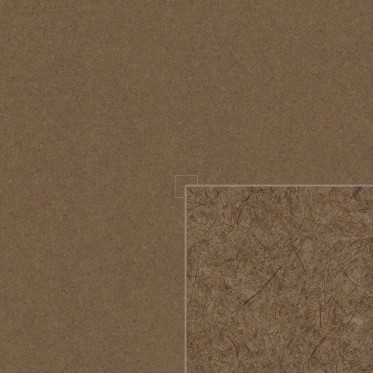 Diffuse (Front, Color 2)