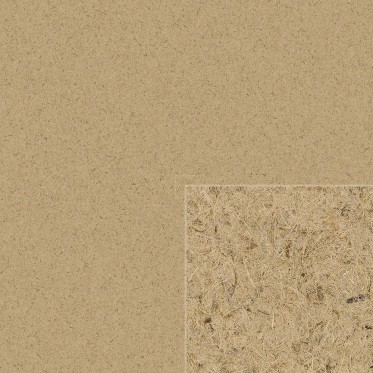 Diffuse (Color 1)
