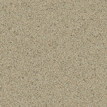 Diffuse (01-AO)