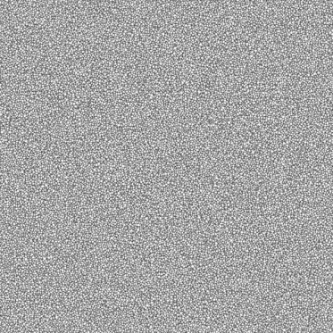 Ambient Occlusion