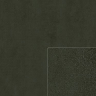 Diffuse (kelp)
