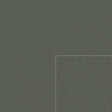 Diffuse (siam)