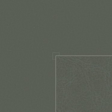 Diffuse (siam)