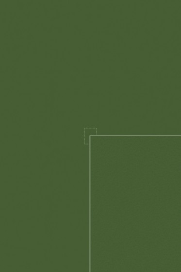 Diffuse (fern)
