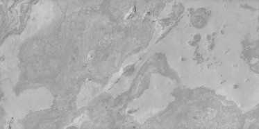 Specularity (IOR/nd 1.5)