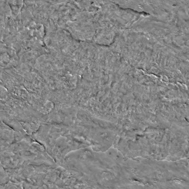 Bump (disp. depth 4.8mm)