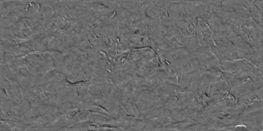 Bump (disp. depth 2.5mm)