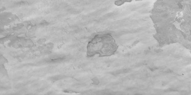 Specularity (IOR/nd 1.5)