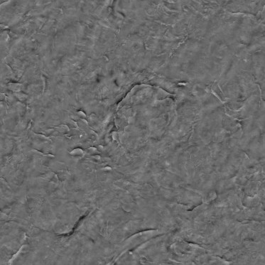 Bump (disp. depth 2.5mm)