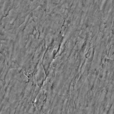 Bump (disp. depth 7.5mm)