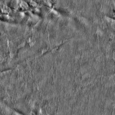 Bump (disp. depth 8mm)