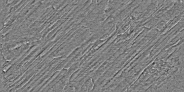 Bump (disp. depth 3.8mm)