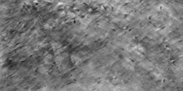 Bump (disp. depth 12mm)