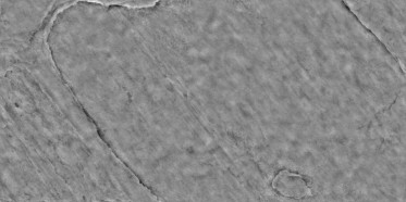 Bump (disp. depth 6mm)