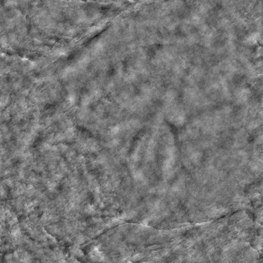 Bump (disp. depth 3.8mm)