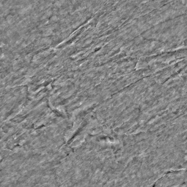 Bump (disp. depth 4.6mm)