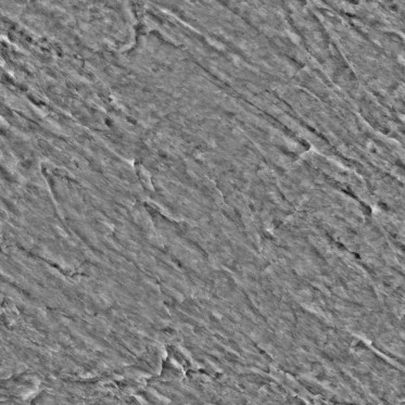 Bump (disp. depth 5mm)