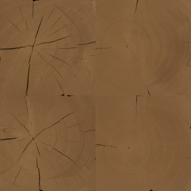 Diffuse (fir, treated 1)