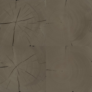 Diffuse (fir, treated 2)