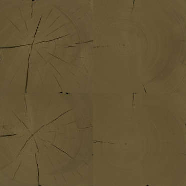 Diffuse (fir, treated 3)