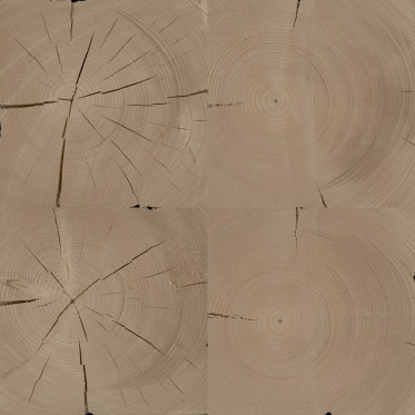 Diffuse (spruce, fresh)