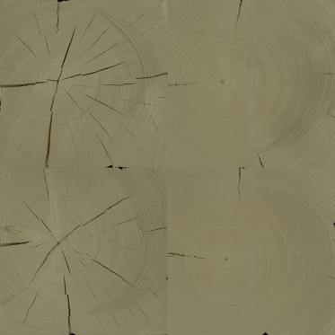 Diffuse (spruce, treated 1)