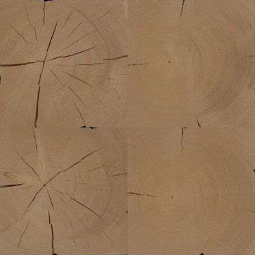 Diffuse (spruce, treated 2)