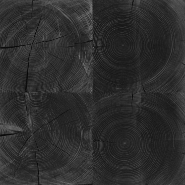 Specularity (IOR/nd 1.5)