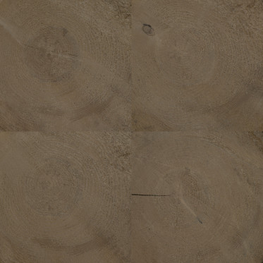 Diffuse (fir, aged 1)