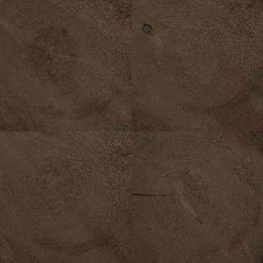 Diffuse (fir, aged 2)
