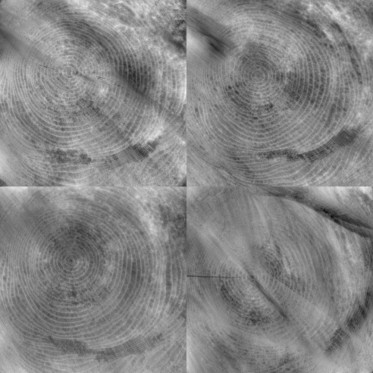 Bump (disp. depth 5mm)
