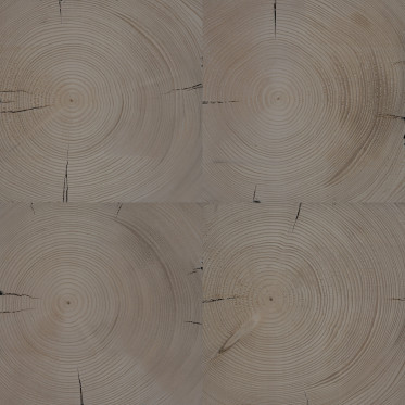 Diffuse (western, bleached)