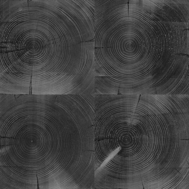 Specularity (IOR/nd 1.5)