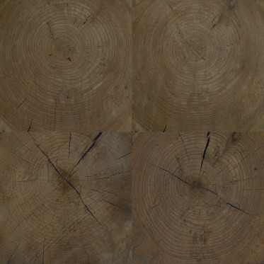 Diffuse (western, aged 2)