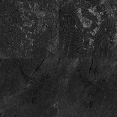 Specularity (IOR/nd 1.5)