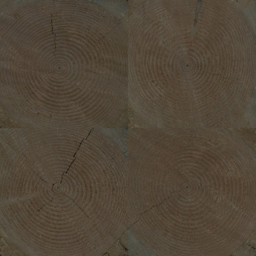 Diffuse (eastern, aged 1)