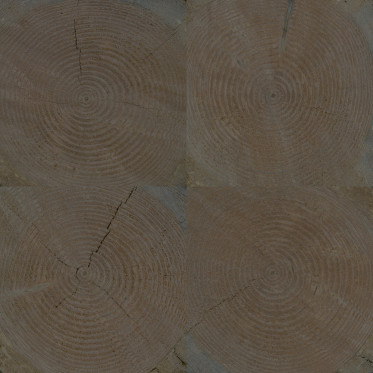 Diffuse (eastern, aged 3)