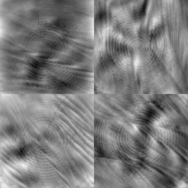 Bump (disp. depth 5mm)
