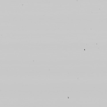 Bump (disp. depth 10mm)