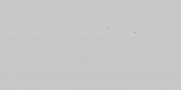 Bump (disp. depth 10mm)