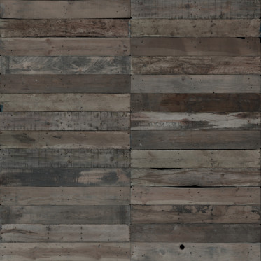 Diffuse (aged 3)